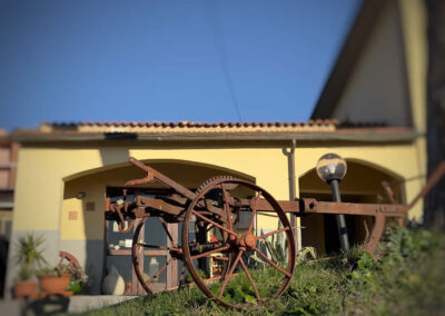 Enoteca Aziendale - foto 3