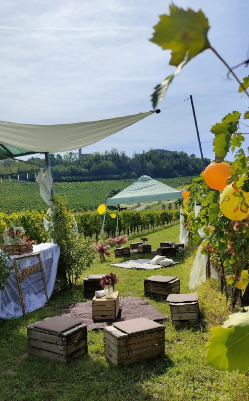 Party in Vigna - foto 2