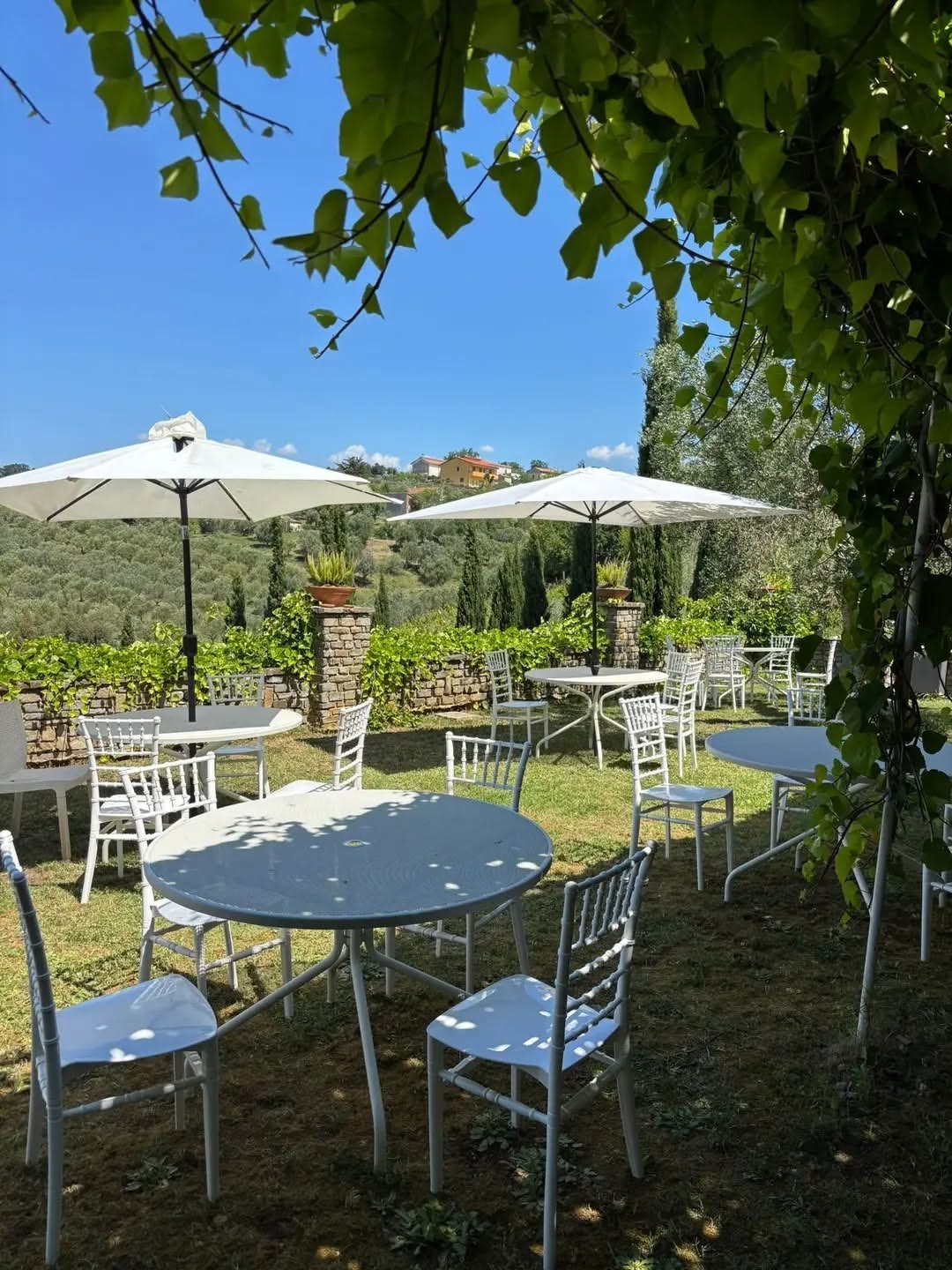Per un giorno, la tenuta è vostra - foto 2