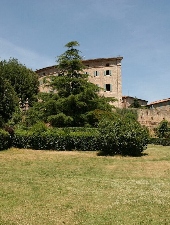 CASTELLO DI SOVICILLE - foto 5