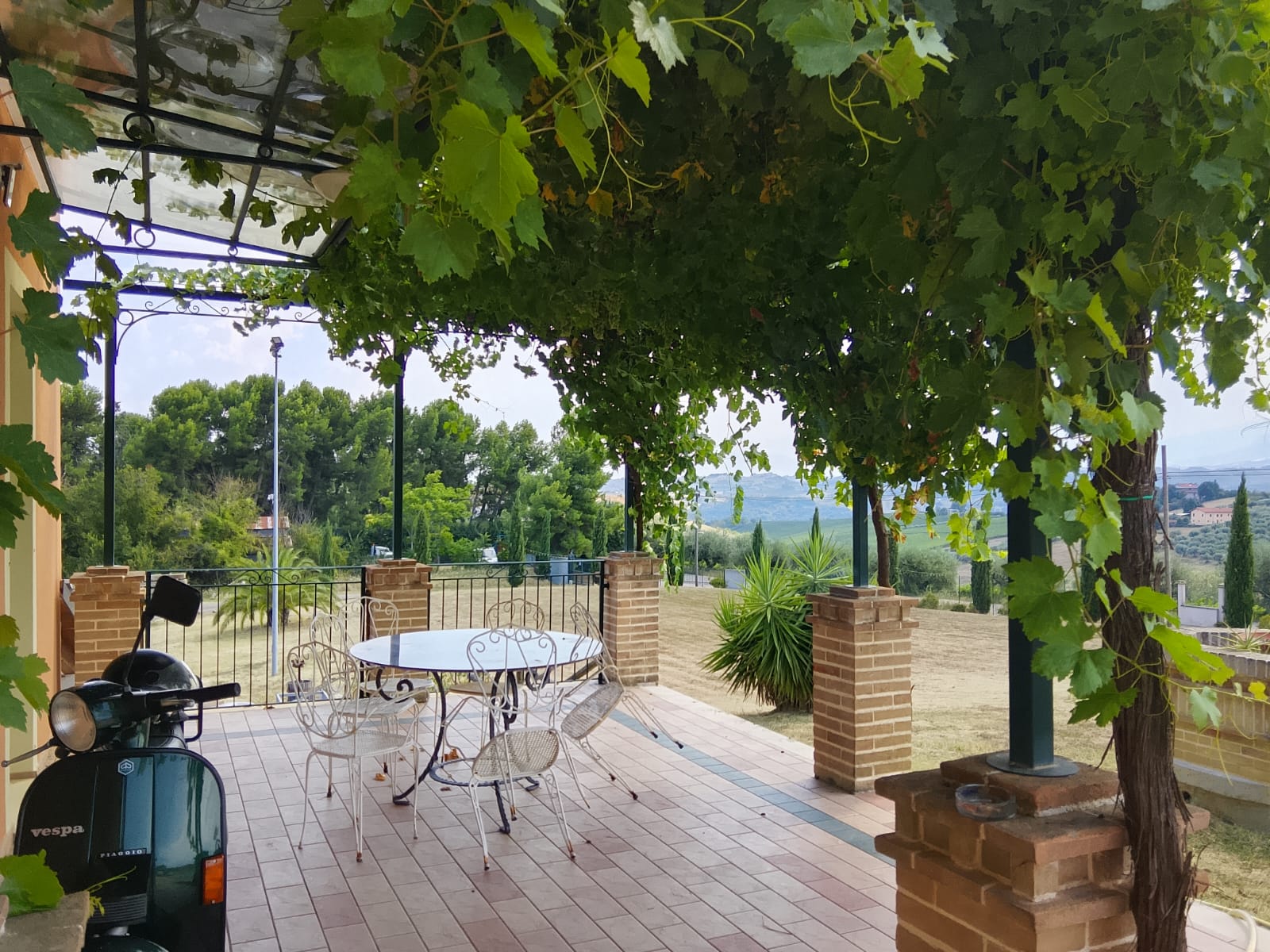 azienda agricola - foto 2