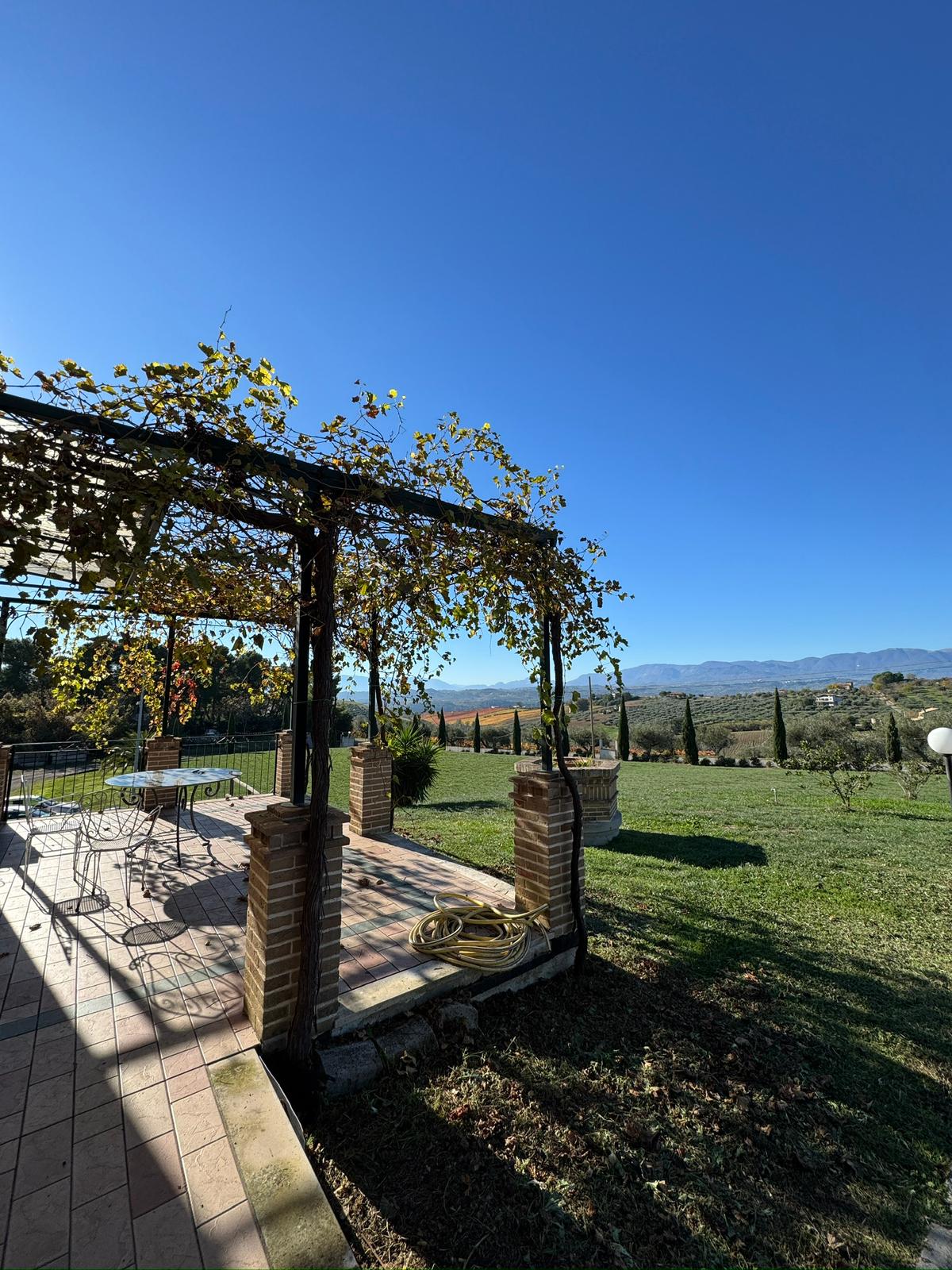 azienda agricola - foto 4