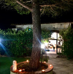 podere degli olmi - foto 2
