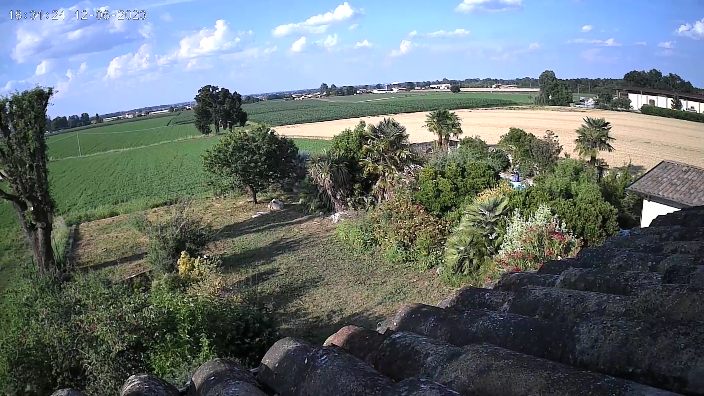Villa Diletta - foto 3