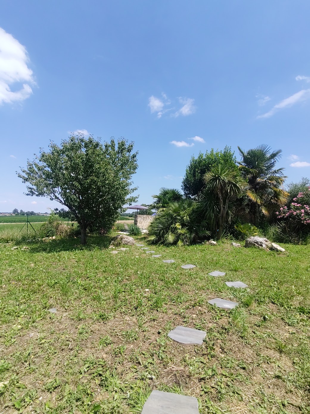 Villa Diletta - foto 5