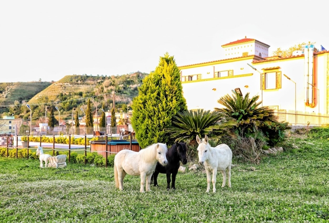 Sala per eventi IL PULEDRO - foto 2